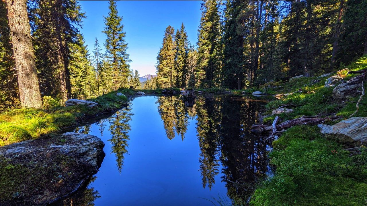 Apart_Schiestl_Bergsee_1 Apart_Schiestl_Bergsee_1